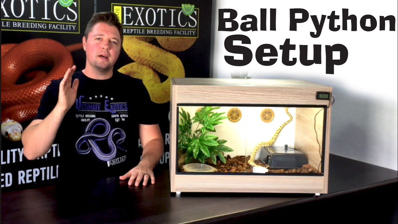 ball python tank construction